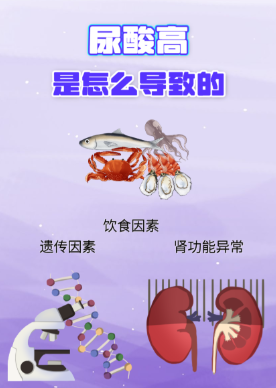 提供个性化尿酸管理服务